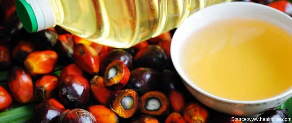 Palm Oil & the Environment