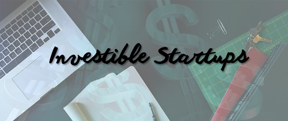 What’s An Investible Startup?