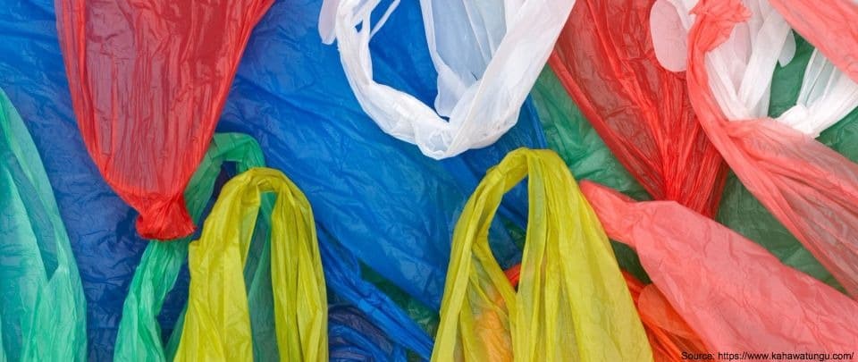 When Plastic Bags and Politics Mix