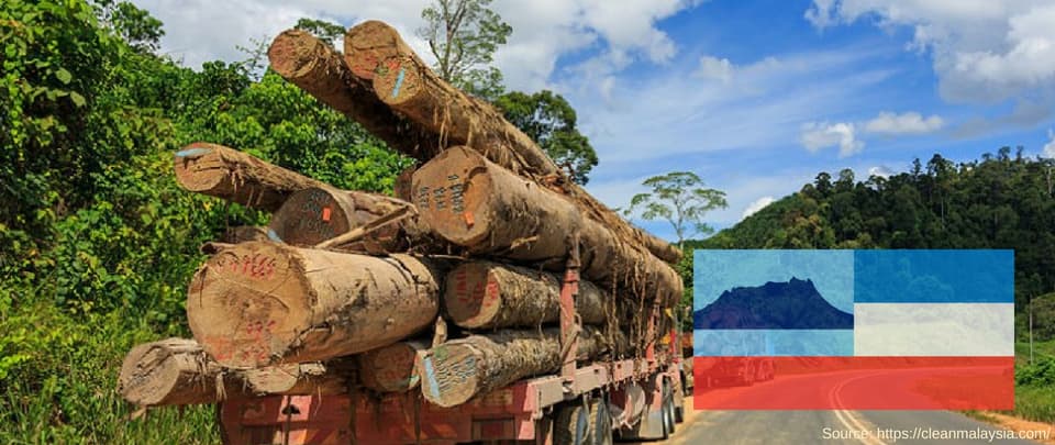 Yelling Timber on Sabah's Logging Monopoly