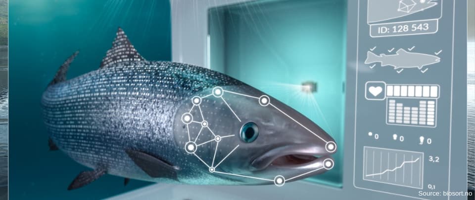 Facial Recognition for Fish