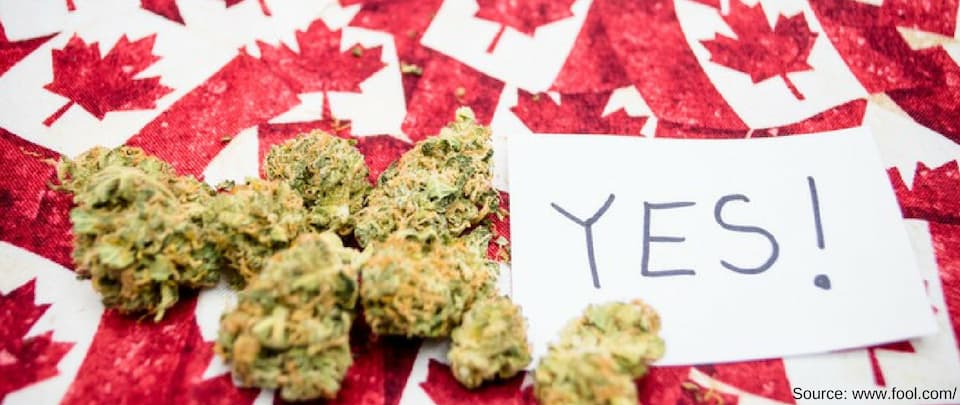 Canada Legalises Cannabis