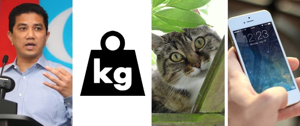 Curious Cats and A Brand New Kilogram