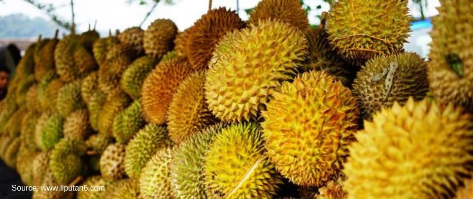 Capitalising On China's Durian Cult