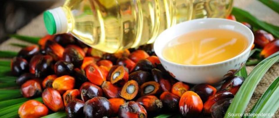 Palm Oil Prices Lowest In Five Months