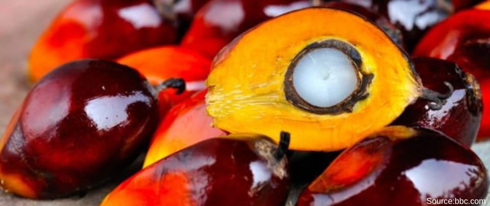 Palm Oil's Perception War