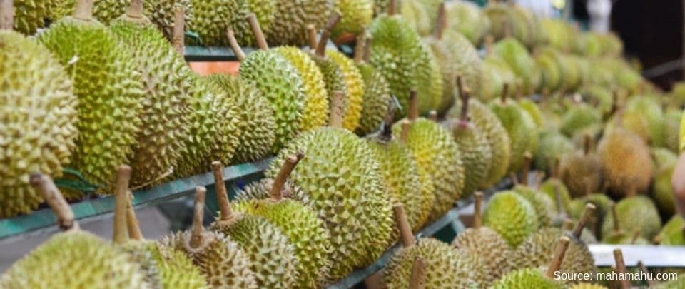 Would You Duit For Durian?