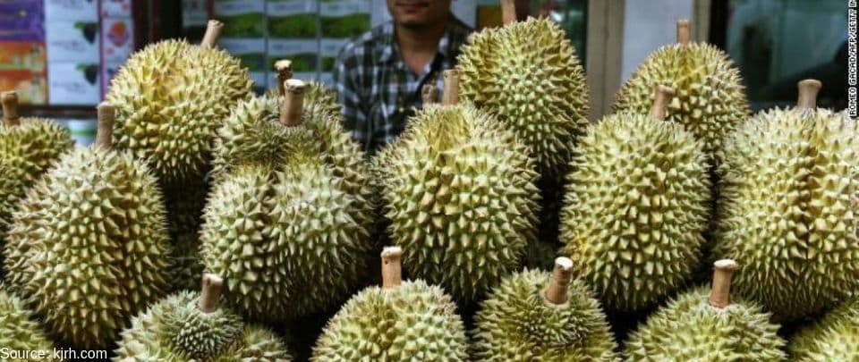 King of Durian 2019