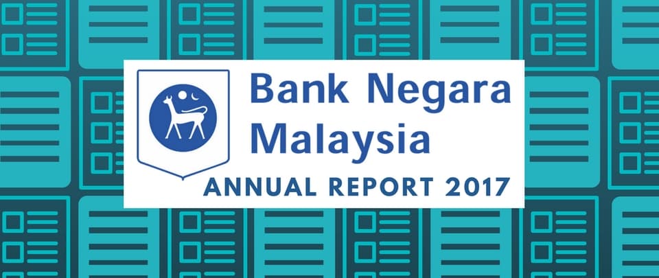 BNM Annual Report 2017