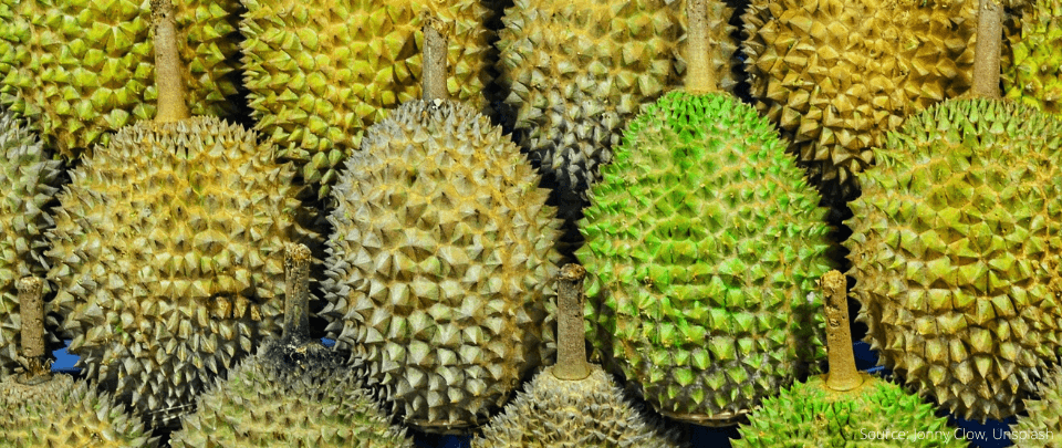 Thorny Scams This Durian Season