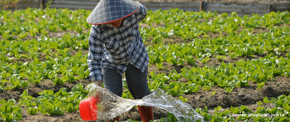 Foreign Labour Intake To Be Frozen