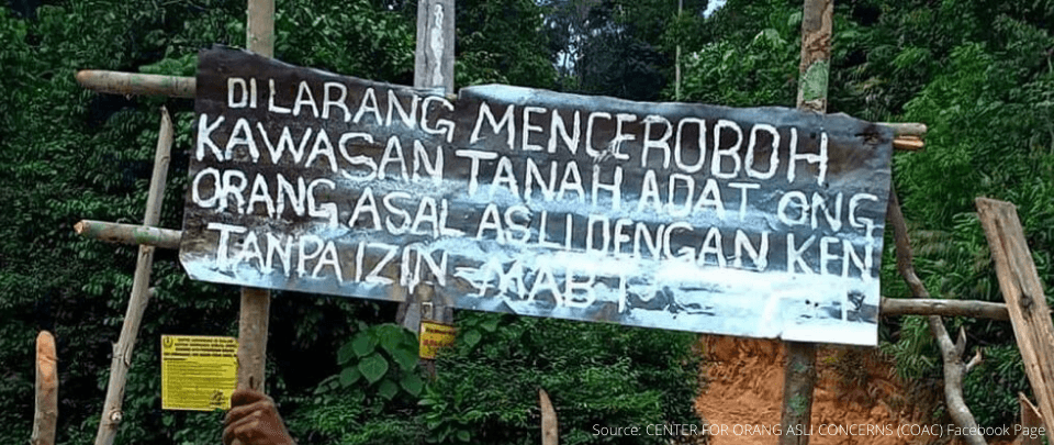 Logging Resumes On Orang Asli Customary Land