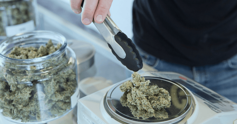 Govt Looking Into Legalising Medical Cannabis