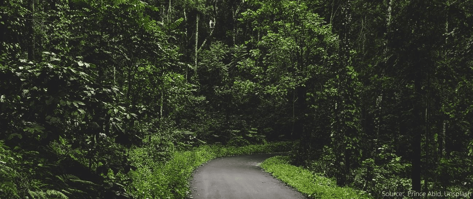 Taman Rimba Kiara Renamed