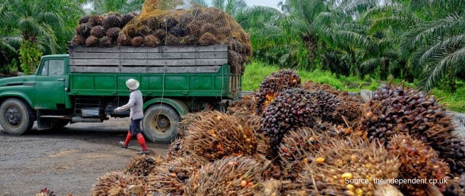 Mydin Stops Selling "Palm Oil-Free" Products