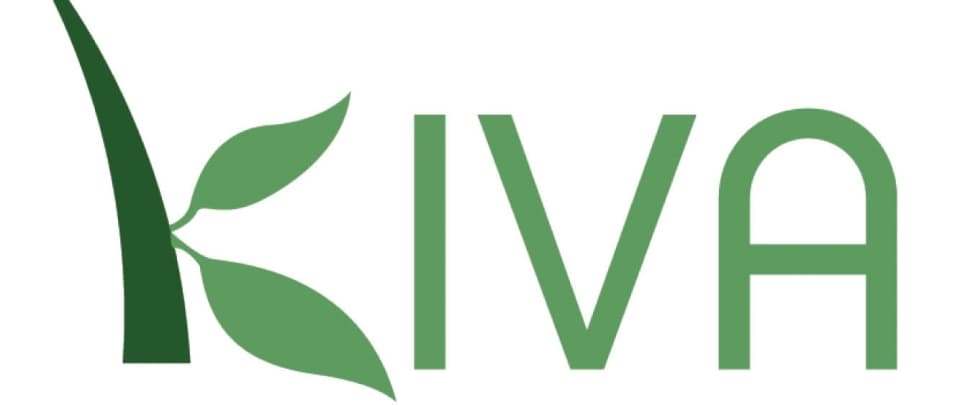 Kiva and Microfinance 2.0