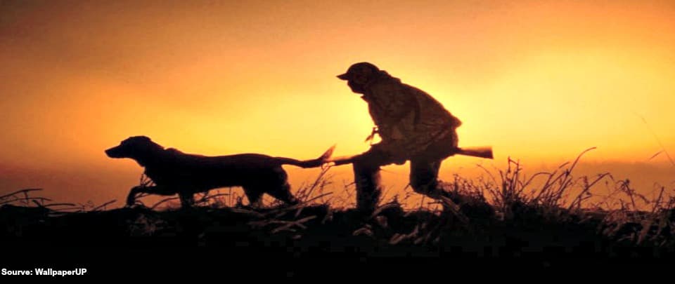 Should We Hunt Animals For Sport?