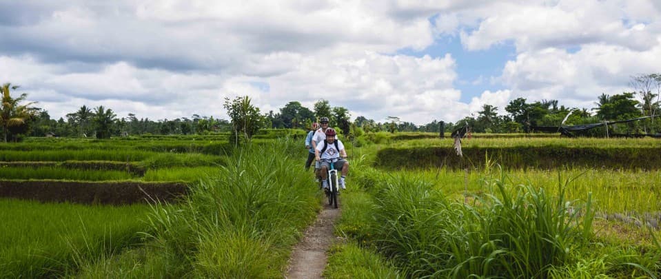 Bar None: Fit in Bali