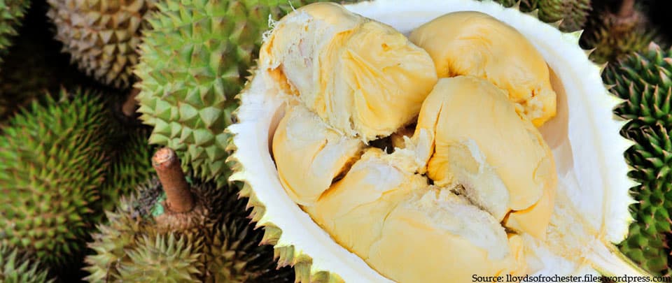 Durians Are Forever