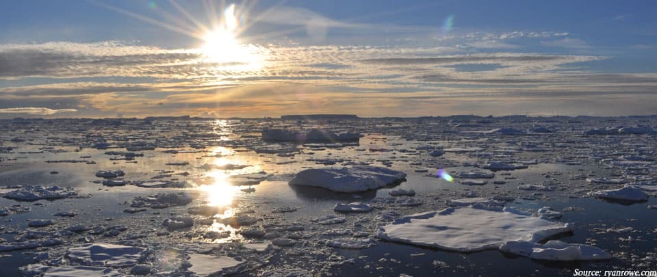 Life on the Ice