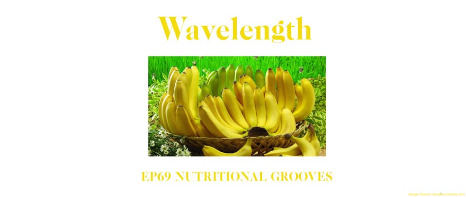 Ep69 - Nutritional Grooves