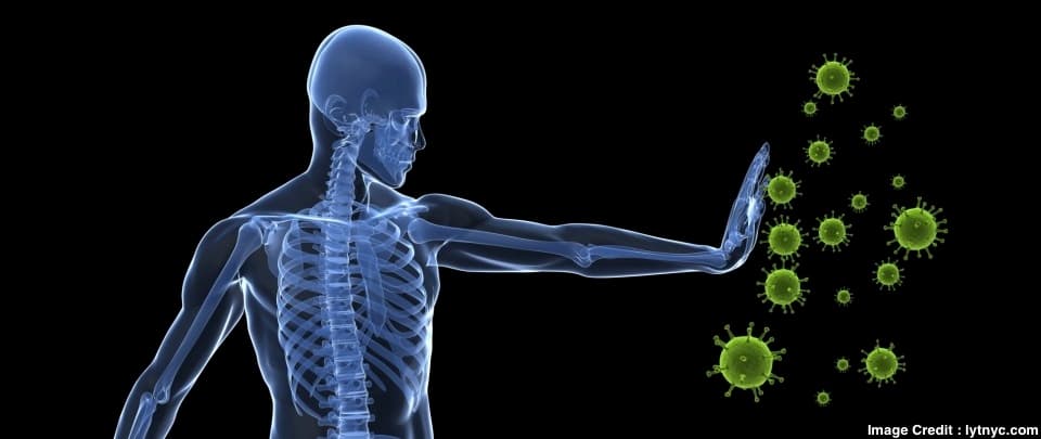 Boosting Your Immune System