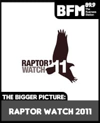 Raptor Watch 2011