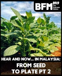 Hear and Now.. in Malaysia Season 2, Ep 6: From Seed to Plate pt 2