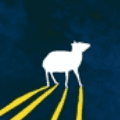 podcast image